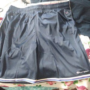 size 4xl champion shorts brand new with tag